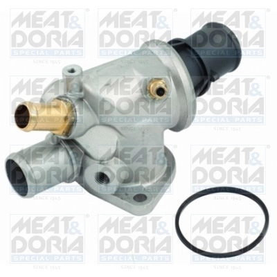 Thermostat, coolant